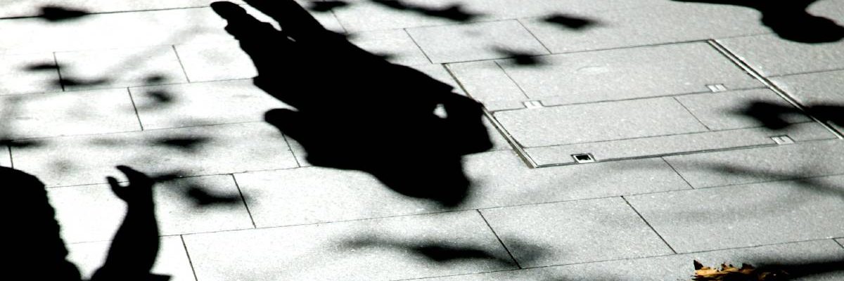 r6_405_2698_1926_w1200_h678_fmax