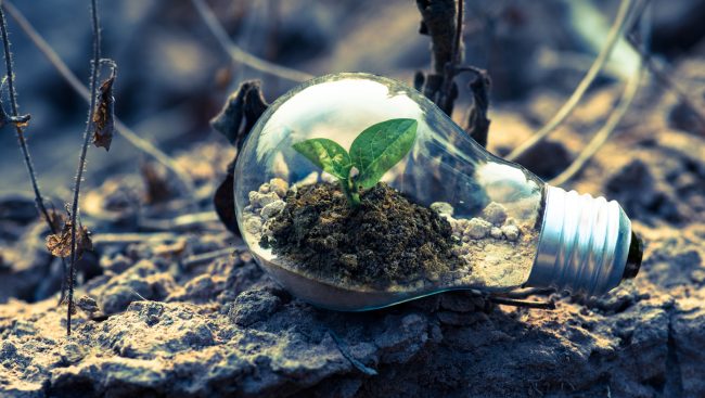 ecologia ambiente energia