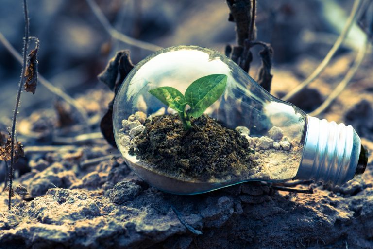 ecologia ambiente energia