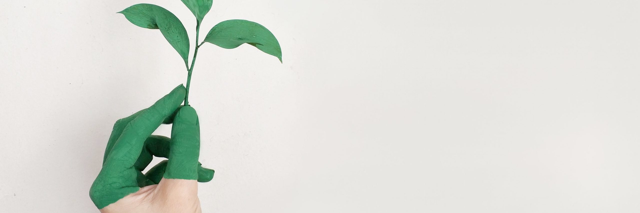 transformacion adaptacion crecimiento