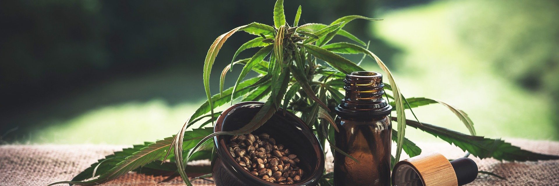 cbd-4469987_1920 (1)