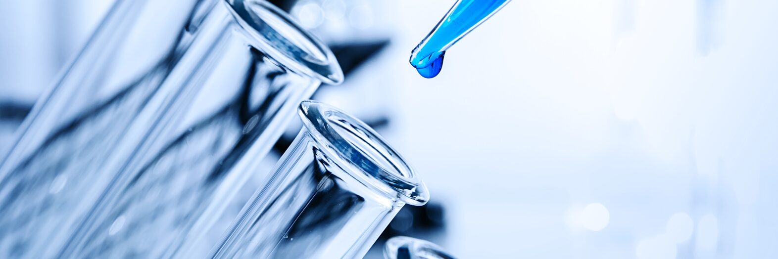 shutterstock_545031478