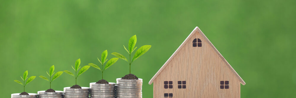 Finance,,Plant,Growing,On,Stack,Of,Coins,Money,And,Model