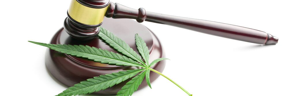 The,Cannabis,Leaf,And,Judge,Gavel