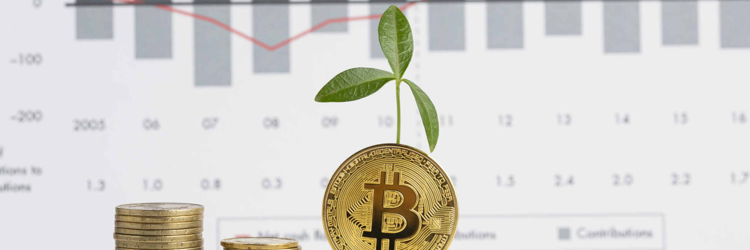 piles-of-coins-with-plant-in-front-of-graph