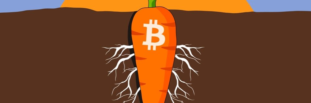 Carrot,Underground,And,Sky,With,Sun,,,Design,For,Bitcoin