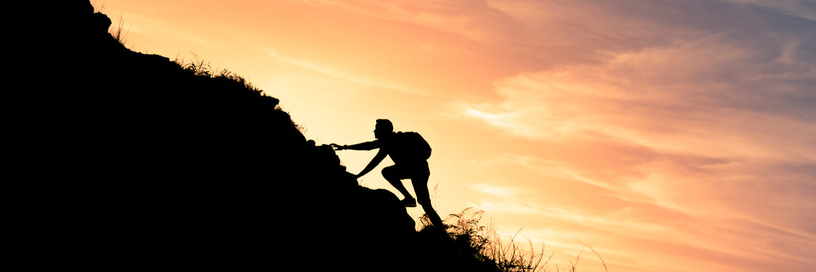 shutterstock_1910523301