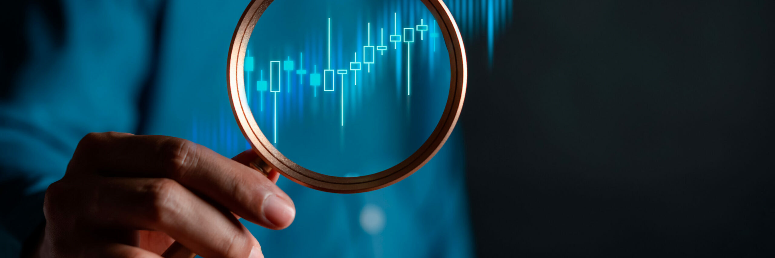 shutterstock_2212393117